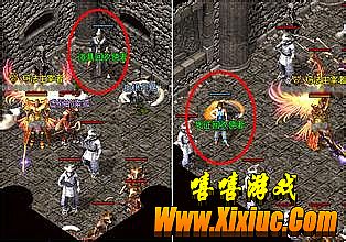 ������վ��������