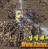 ���л��ڰ�����Ұ���¹������